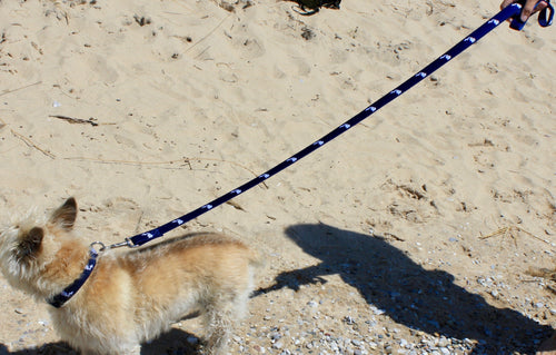 The State of Michigan 6 Ft. Dog Leash