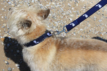 Load image into Gallery viewer, The State of Michigan Dog Collar